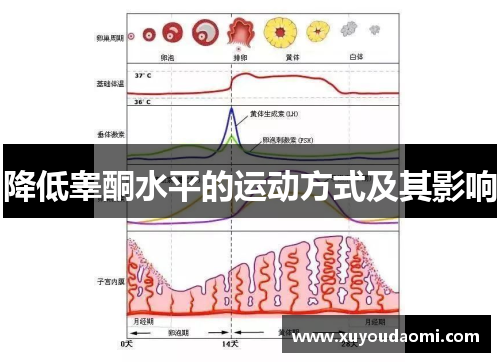 降低睾酮水平的运动方式及其影响